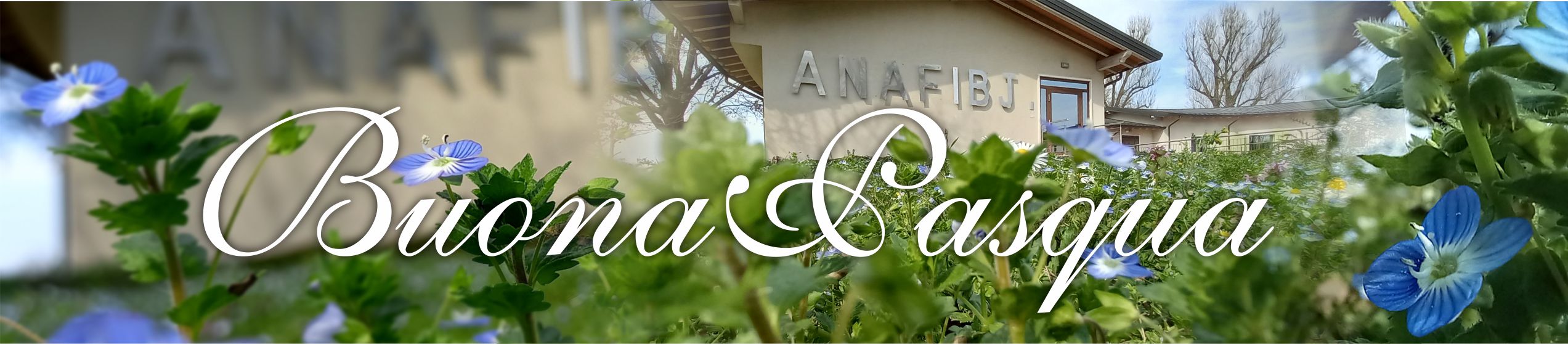 Auguri da ANAFIBJ